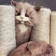 BOM Collectible toy cat. Teddy Toys. Knitted toys Olga Bessogonova. My Livemaster. Фото №6