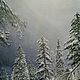 The author's picture of Winter in the mountains of Sochi.( Vladimir Tarasov), Pictures, Moscow,  Фото №1