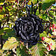 Брошь-булавка из натуральной кожи: черная роза  Тотти. Брошь-булавка. Кожаные затеи (Evgenia). Ярмарка Мастеров.  Фото №4