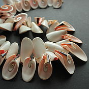 Материалы для творчества handmade. Livemaster - original item Beads pendants section of the Lisway shell 5 PCs.. Handmade.