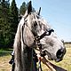 Bridle "Cossack officer" with rein, Horse tack, Handmade. Bridles. Saddlery and blacksmith's yard. My Livemaster. Фото №6