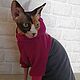 Clothing for cats 'Fleece Jacket with hood - Grey fuchsia'. Pet clothes. Happy-sphynx. Online shopping on My Livemaster.  Фото №2