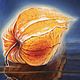 Oil painting on canvas 'Sunny Physalis'. Pictures. Hudozhnik Yuliya Kravchenko (realism-painting). Интернет-магазин Ярмарка Мастеров.  Фото №2