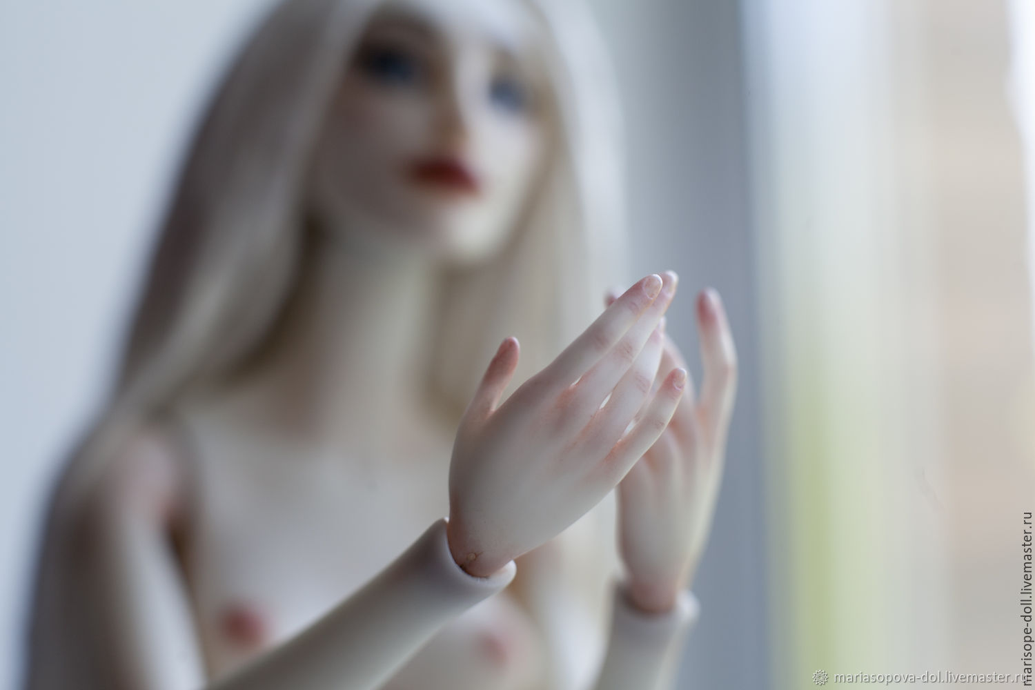 BJD doll. 