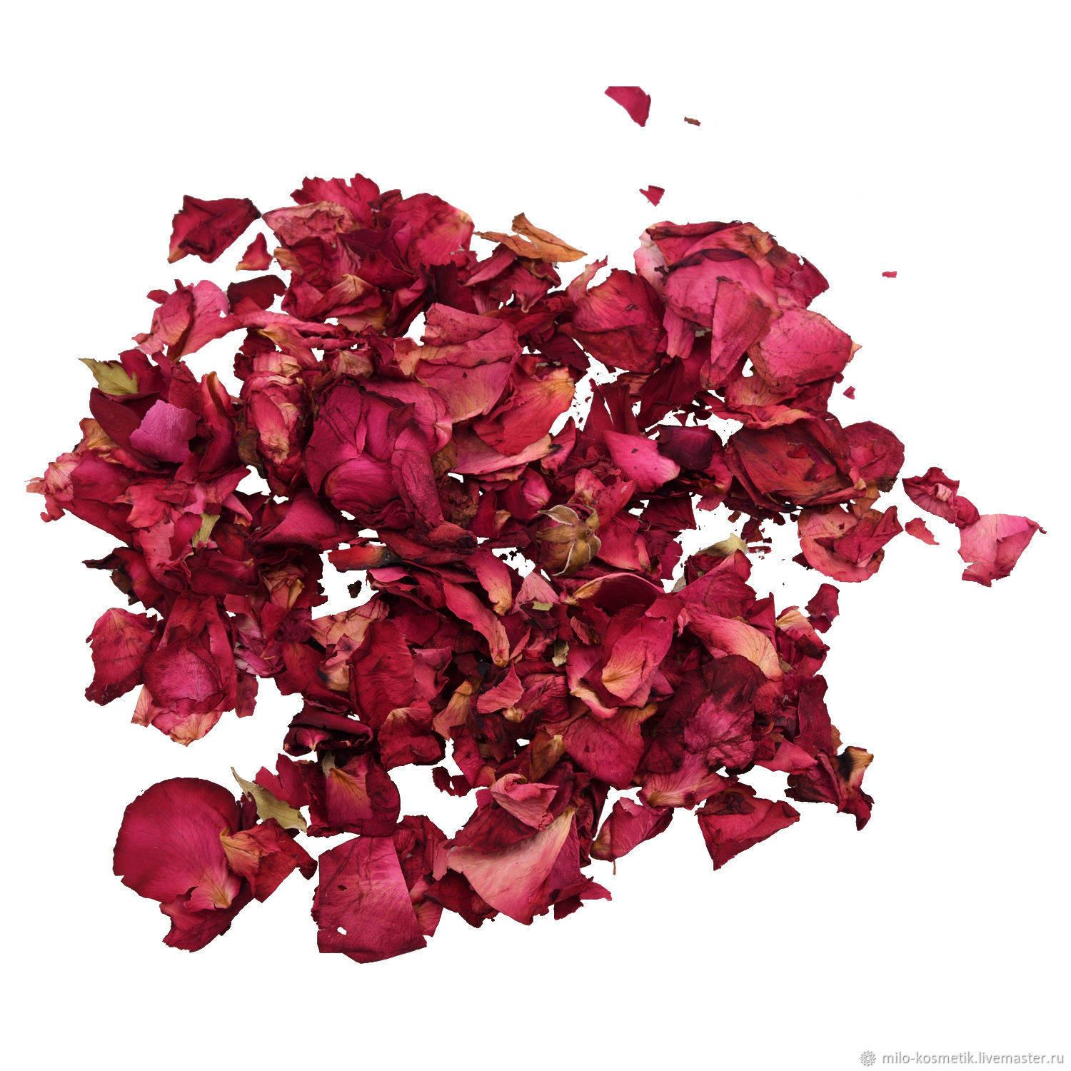 Dry Rose