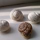 Shell,shells, snails. Shells. Ekostil. Online shopping on My Livemaster.  Фото №2