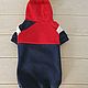 Order Clothing for cats 'Fleece jacket - Blue with red'. Happy-sphynx. Livemaster. . Pet clothes Фото №3