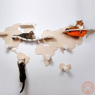 Кошка на стене
