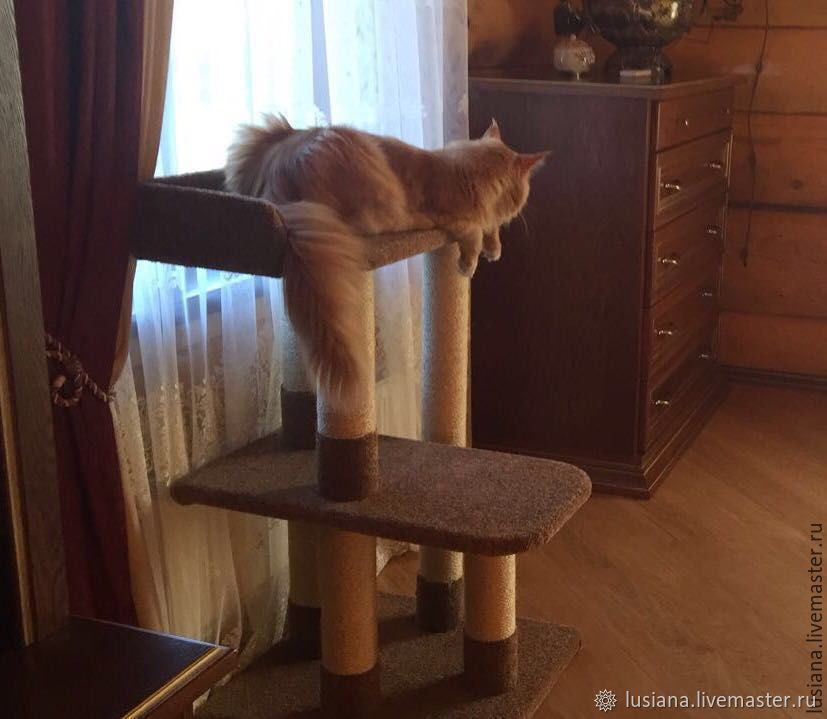 Bench for the Maine Coon. Cat scratch furniture for large cats buy