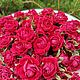 Сухоцвет роз 20 шт . Ярко розовые , Цветы сухие и стабилизированные, Армавир,  Фото №1
