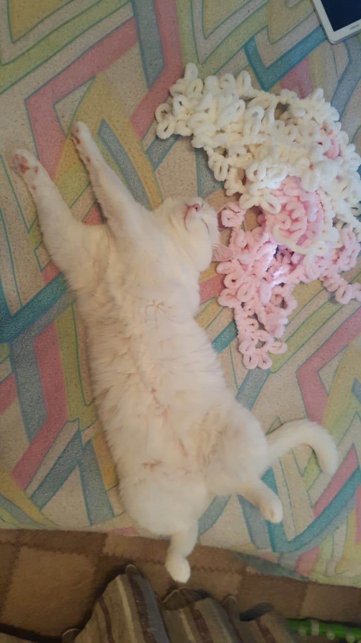 Мой профиль
