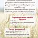 Мастер-класс: лошадка. Мастер-классы. Кристина Загорская. Интернет-магазин Ярмарка Мастеров.  Фото №2
