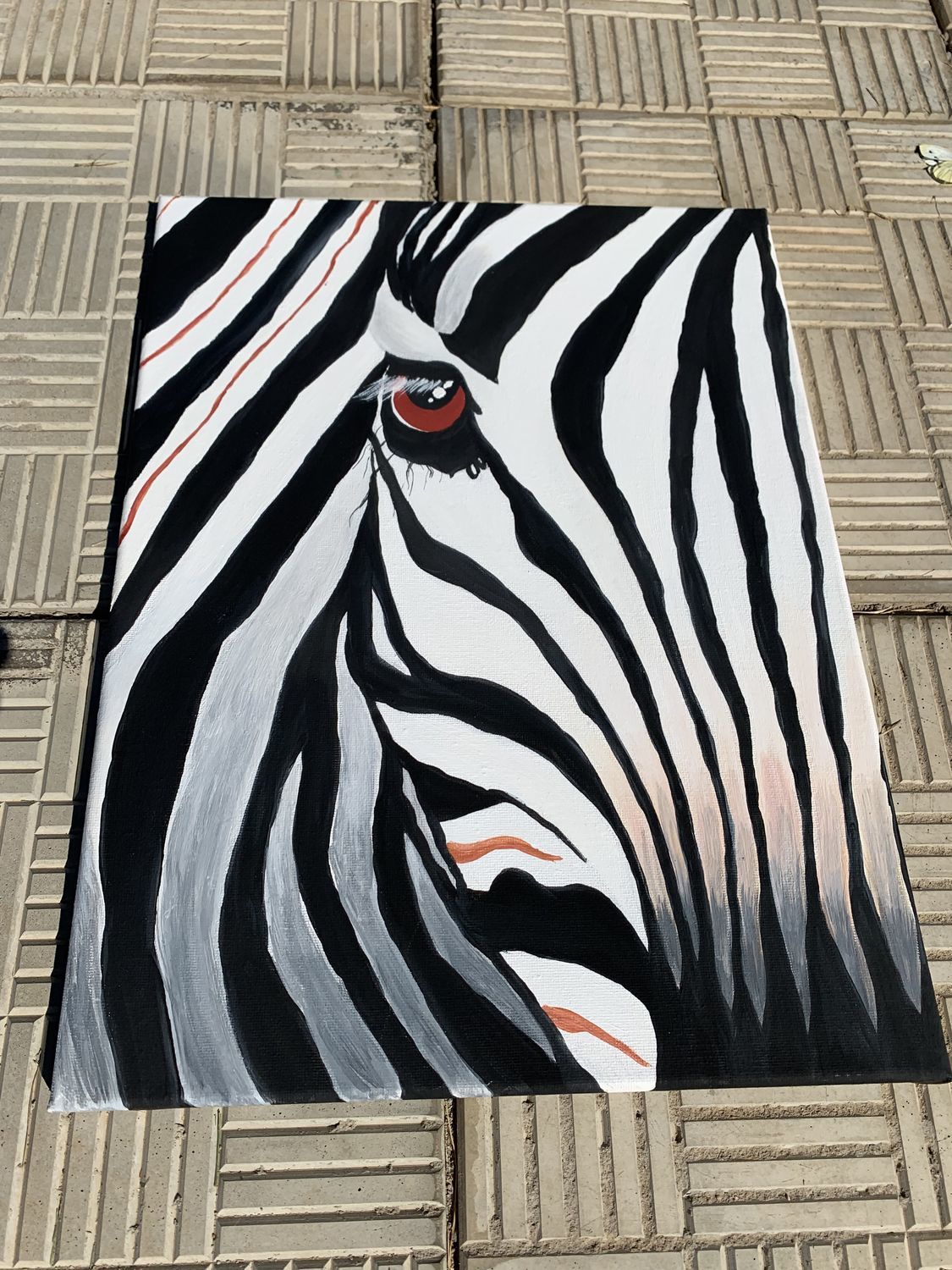 Плед зебра в интерьере