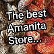Мухомор пантерный Алтай НЕ РАСКРЫТЫЙ!!! 50 г. Кухонные наборы. Amanita Store. Ярмарка Мастеров.  Фото №5