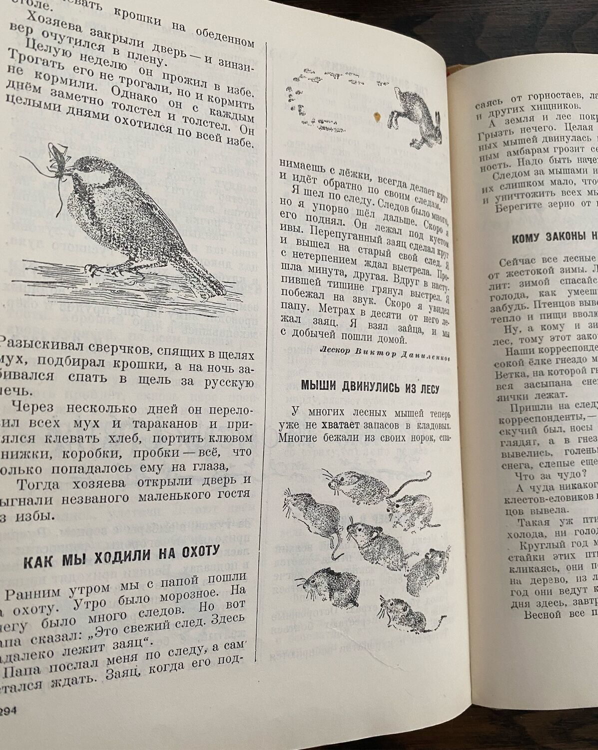 Винтаж: Книга 1952 г В.Бианки Лесная газета купить в интернет-магазине  Ярмарка Мастеров по цене 1800 ₽ – OVWRGRU | Книги винтажные, Москва -  доставка по России