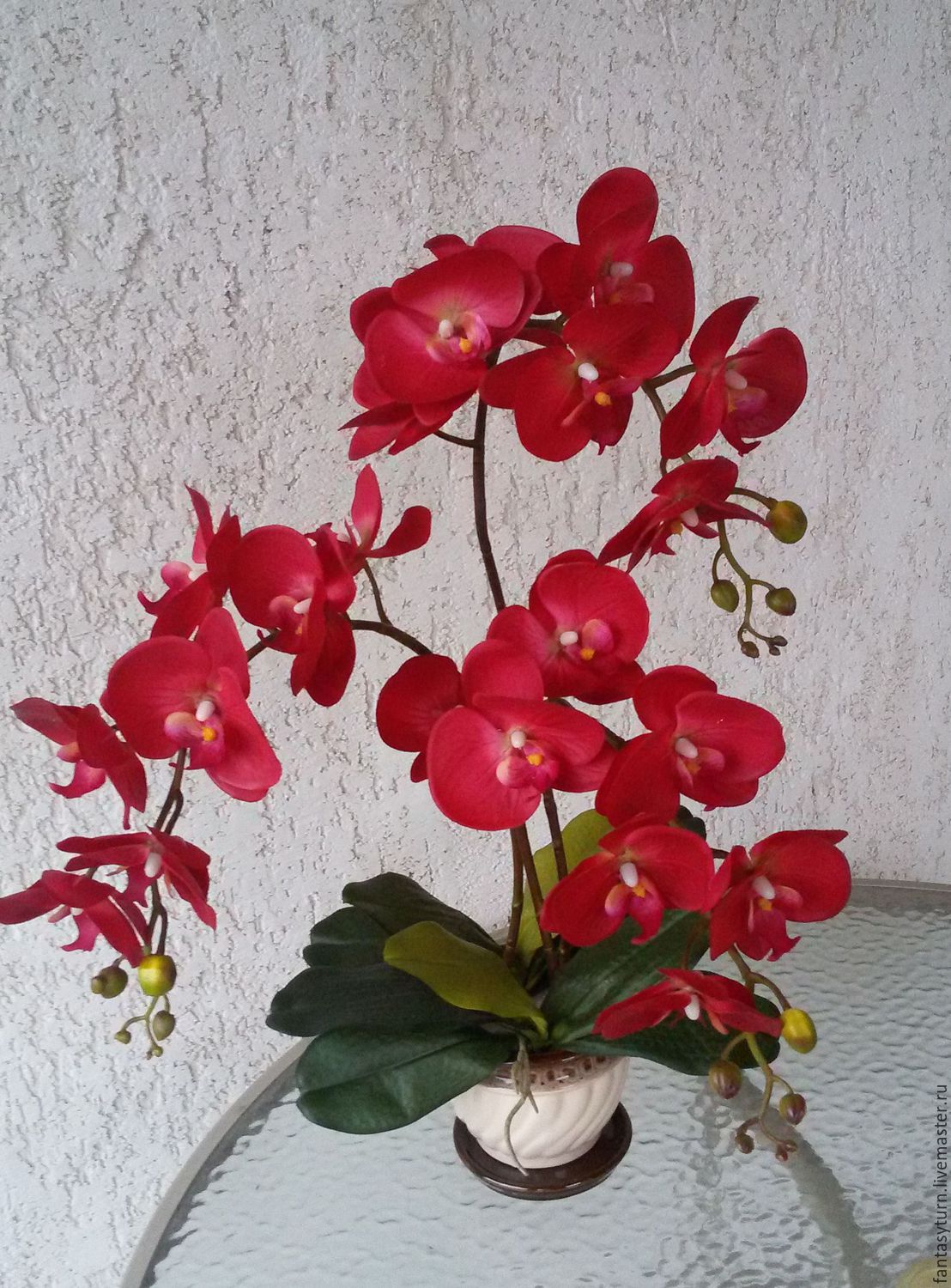 Векторы по запросу Красная орхидея