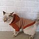 Clothing for cats and dogs Sweatshirt 'Camel and latte', Pet clothes, Biisk,  Фото №1