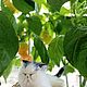 Кот Беляш. Войлочная игрушка. Творческая студия Ольги Демкиной. Ярмарка Мастеров.  Фото №5