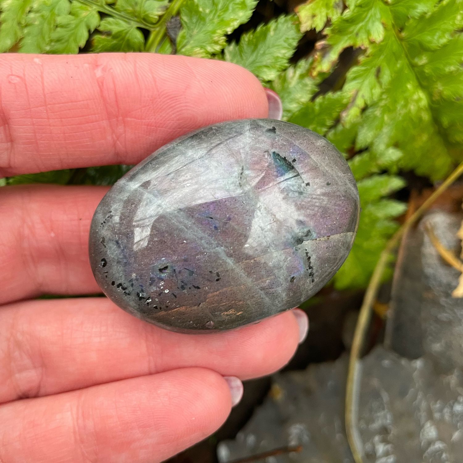 Лабрадор сиренево-розовый #2 в интернет-магазине на Ярмарке Мастеров ...