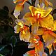 Flower-nightlight orchid 'Sun'. Nightlights. Elena Krasilnikova. My Livemaster. Фото №5