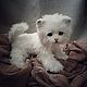 Teddy Animals: little white kitten. Teddy Toys. Teddybeasts. My Livemaster. Фото №4