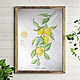  Sprig of lemons watercolor, Pictures, Krasnodar,  Фото №1