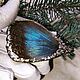 Blue Butterfly pendant, Vintage decoration with Morpho Wings. Pendant. ГЕРБАРИКА. My Livemaster. Фото №5