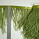 Braid of ostrich feathers 10-15 cm marsh-green, braid, Moscow,  Фото №1