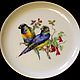 Beautiful mini plates 'Birds on a branch', Lindner, Germany, Vintage interior, Moscow,  Фото №1