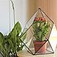 the florariumov: The Floriana. Vase for Floriana. Size M. Florariums. Glass Flowers. My Livemaster. Фото №4