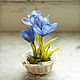 Miniature 'the Crocus - the baby in the snow'. Gift on March 8!, Model, Moscow,  Фото №1