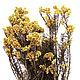 Стабилизированные ветви Helychrisium Diosmifolium Natural Yellow, Цветы сухие и стабилизированные, Москва,  Фото №1