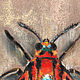 Order Mexican Moth (Butterfly, moth). Original. Pastel. Valeria Akulova ART. Livemaster. . Pictures Фото №3