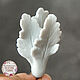 Silicone Soap Mold Cineraria Leaves mini, Form, Zheleznodorozhny,  Фото №1