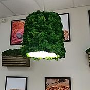 Для дома и интерьера handmade. Livemaster - original item Lampshade-chandelier made of stabilized moss. Handmade.