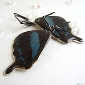 Украшения handmade. Livemaster - original item Earrings Are Real Butterfly Wings Blue Blue Black Rhodium. Handmade.