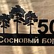 Табличка “Mets-2” 53см (сталь 2мм), Номер на дверь, Санкт-Петербург,  Фото №1