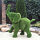 Фигура для сада: топиарий:  «Веселый слонёнок», Скульптуры, Краснодар,  Фото №1