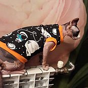 Одежда для кошек "Майка - Стильные кошки"