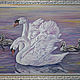 Picture Swans: swan family, swan chicks, swan lake. Pictures. Netta Plans. Online shopping on My Livemaster.  Фото №2