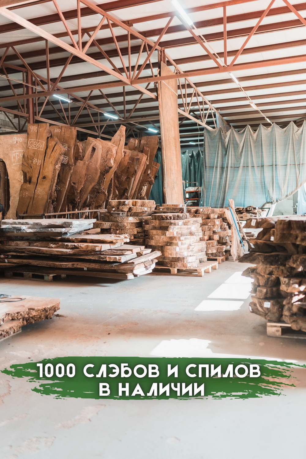 Мой профиль