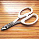 Japanese floral scissors, wire cutters, Floristry Tools, Khmelnitsky,  Фото №1