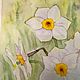 Картина Нарциссы Белые Цветы Акварелью 24 на 32 см. Картины. katbes (Екатерина). Ярмарка Мастеров.  Фото №4