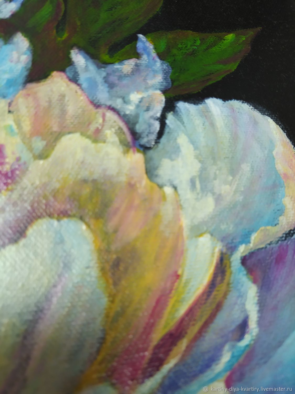 Картина акрилом "Пион на черном (№2)" 40х50 купить в интернет-магазине ...