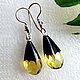 Amber. Earrings 'Light through the darkness' amber silver, Earrings, Moscow,  Фото №1