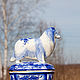 Box Scottish shepherd collie (painted Gzhel). Box. Moscow Kerry (porcelaindogs). My Livemaster. Фото №4