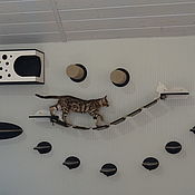 Зоотовары handmade. Livemaster - original item Wall-mounted complex for cats 