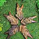  Курипи. Лягушка Буфо. Дерево Соно. Трубка для рапэ. Shamanic-staff. Интернет-магазин Ярмарка Мастеров.  Фото №2