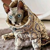Зоотовары handmade. Livemaster - original item Cat clothes 
