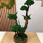 Декор: Стабилизированный мох в деревянном кашпо